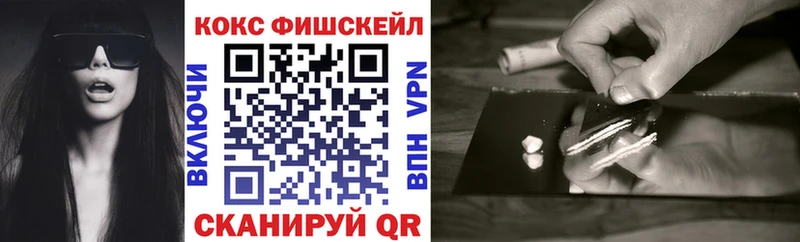 Кокаин Fish Scale  Купить закладки  Алупка 