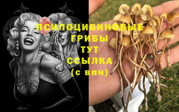 ALPHA PVP Вязники