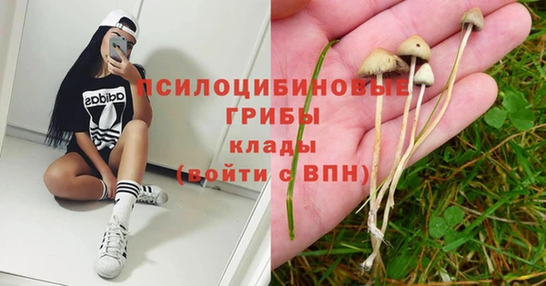 ALPHA PVP Вязники